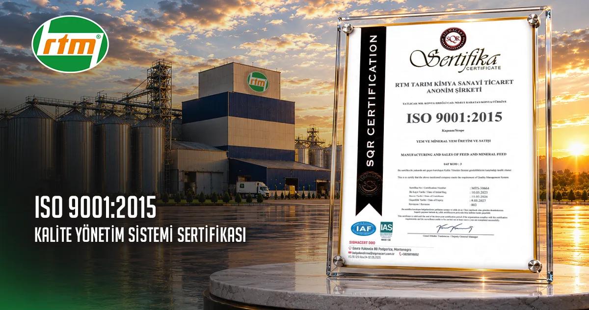 ISO 9001:2015 Kalite Yönetim Sistemi Sertifikası