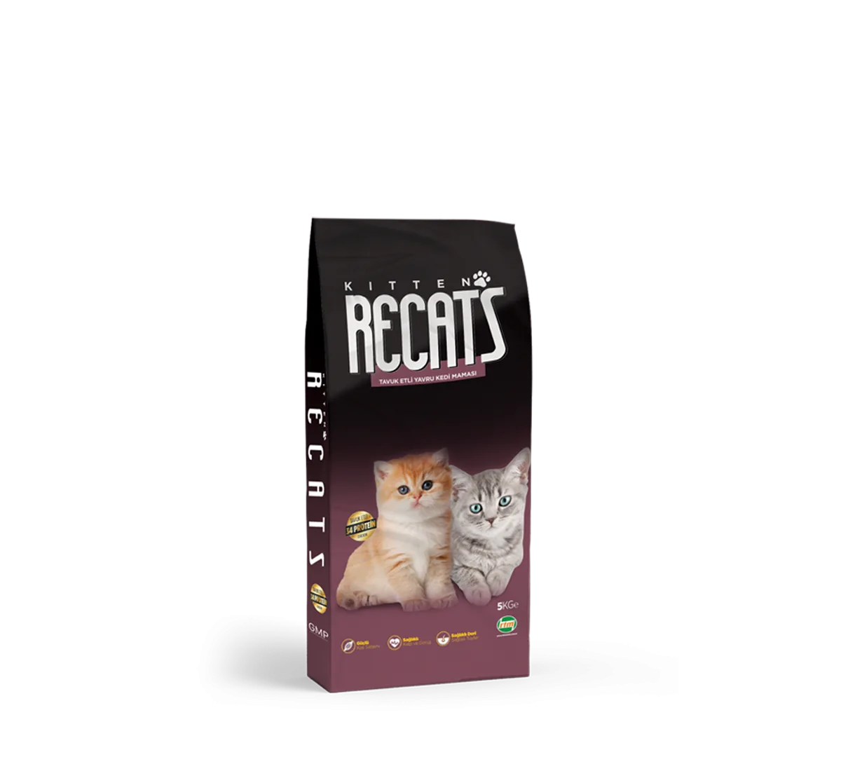 Recats Kitten
